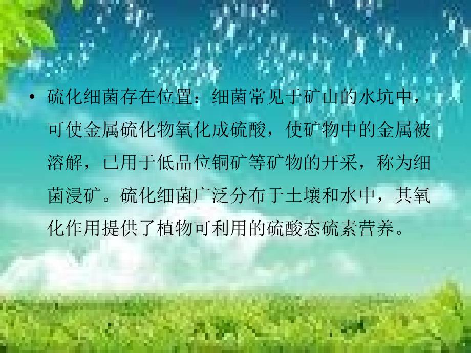 《刘金成硫化细菌》PPT课件_第4页