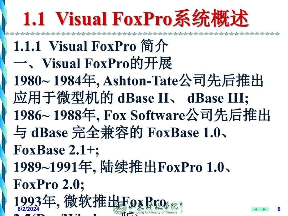 VFP课件第12章11_第5页