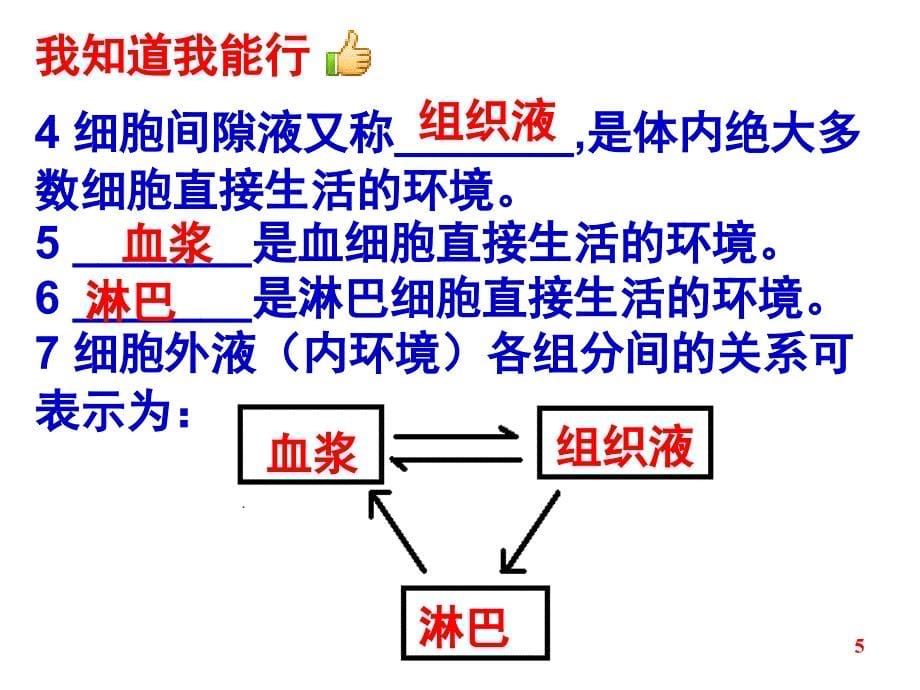 人体的内环境与稳态.ppt_第5页