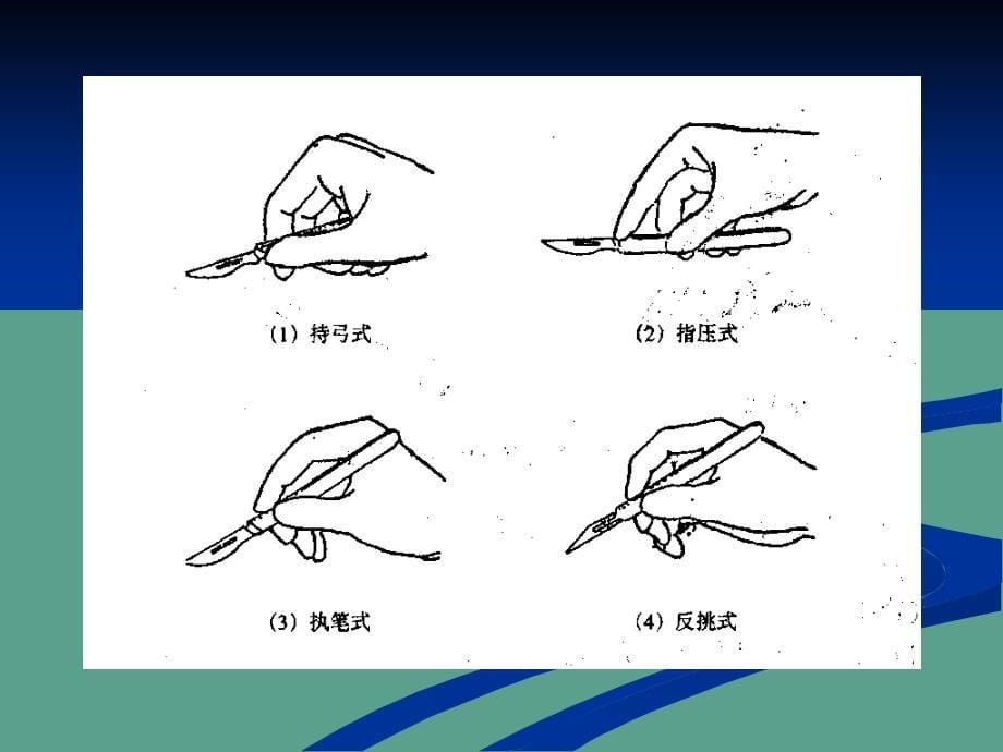 急性动物实验基本操作技术ppt课件_第5页