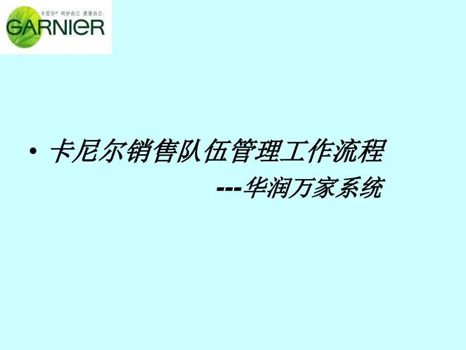 华润万家系统销售工作管理流程_第1页