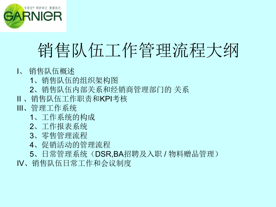 华润万家系统销售工作管理流程_第2页