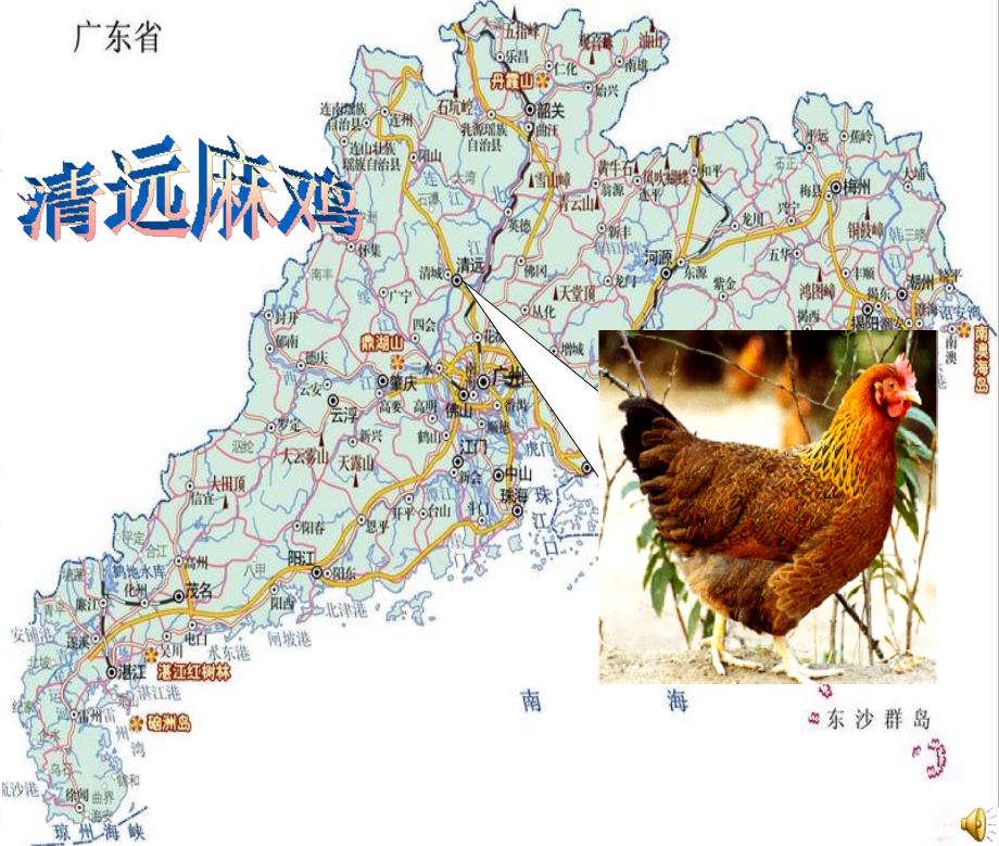 美食搜索之-清远麻鸡.ppt_第1页