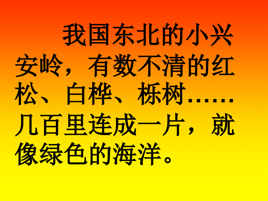 美丽的小兴安岭课件_第4页