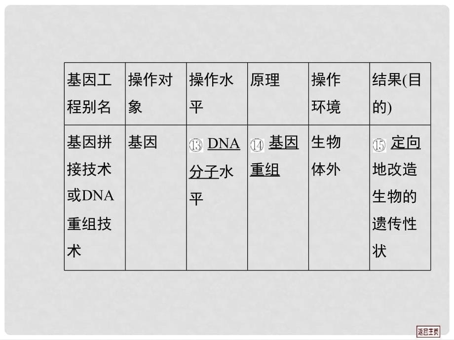 高考生物第一轮复习用书 第七单元 第三课时生 物 育 种课件 新人教版_第5页