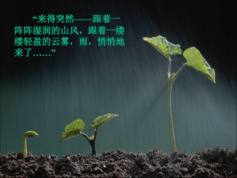 山雨 (3)_第2页