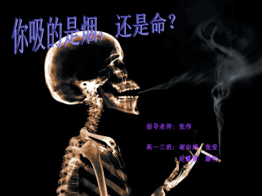 你吸的是烟还是命ppt课件_第3页