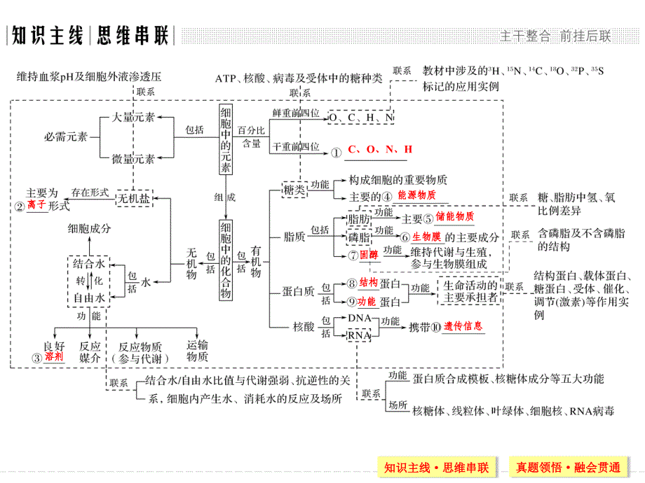 高三生物二轮复习专题一细胞的物质基础【课时讲课】_第2页