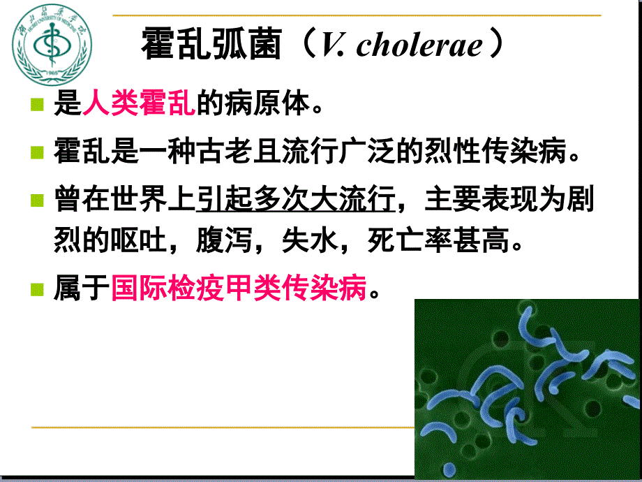 霍乱弧菌与副溶血性弧菌.ppt_第3页