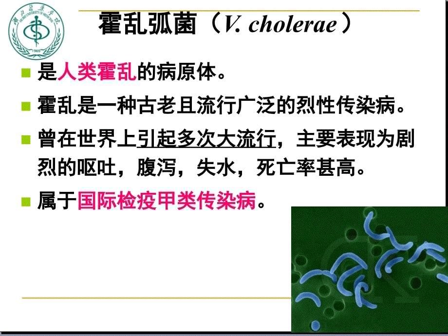 霍乱弧菌与副溶血性弧菌.ppt_第5页