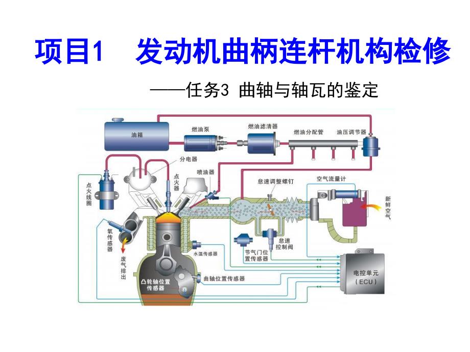 汽车发动机系统检修 曲轴与轴瓦的鉴定_第1页