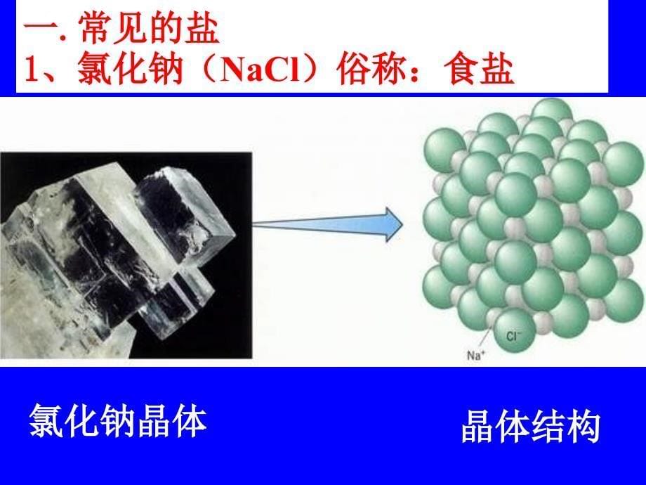 课题1生活中常见的盐第一课时_第5页