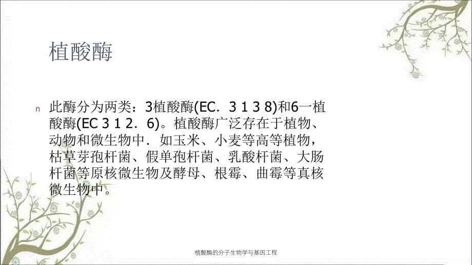 植酸酶的分子生物学与基因工程_第5页