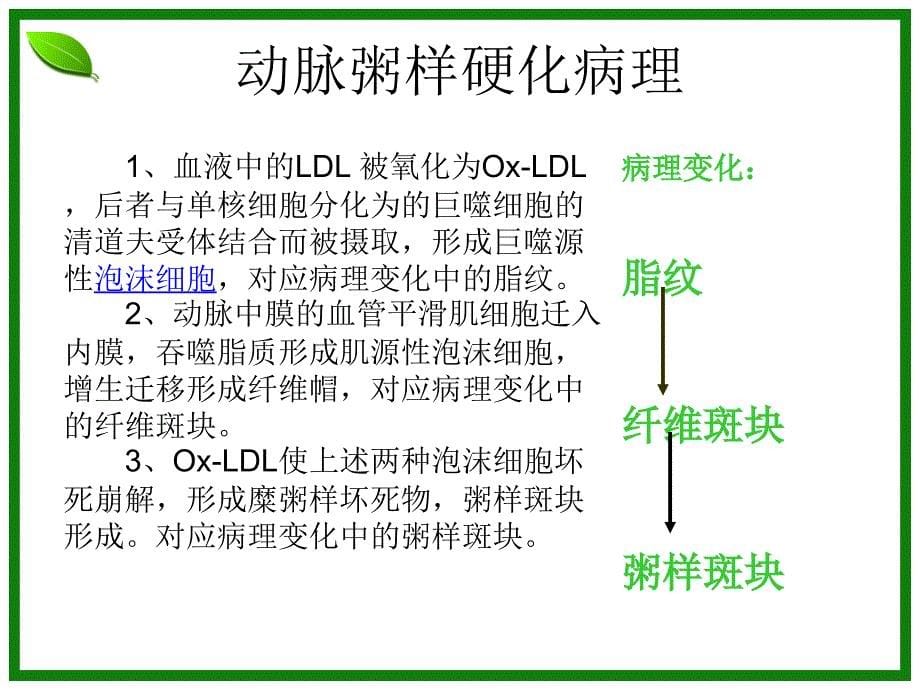 《动脉粥样硬化》PPT课件_第5页