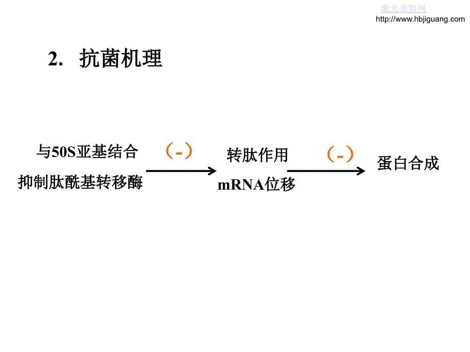 《大环内酯类抗生素》PPT课件.ppt_第5页