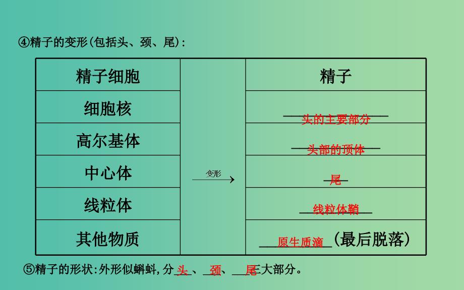 高中生物 探究导学课型 专题3 胚胎工程 3.1 体内受精和早期胚胎发育同课异构课件 新人教版选修3.ppt_第4页