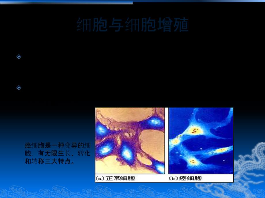 细胞周期与抗癌药物作用机制_第2页