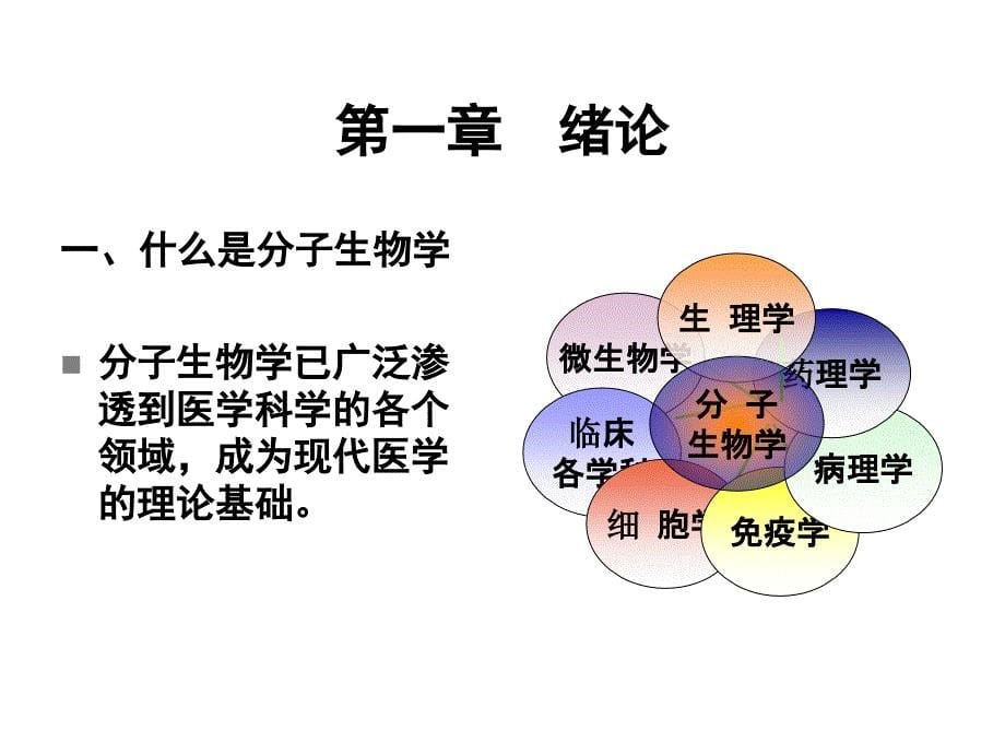 中医药研究常用分子生物学技术课件-精品文档_第5页