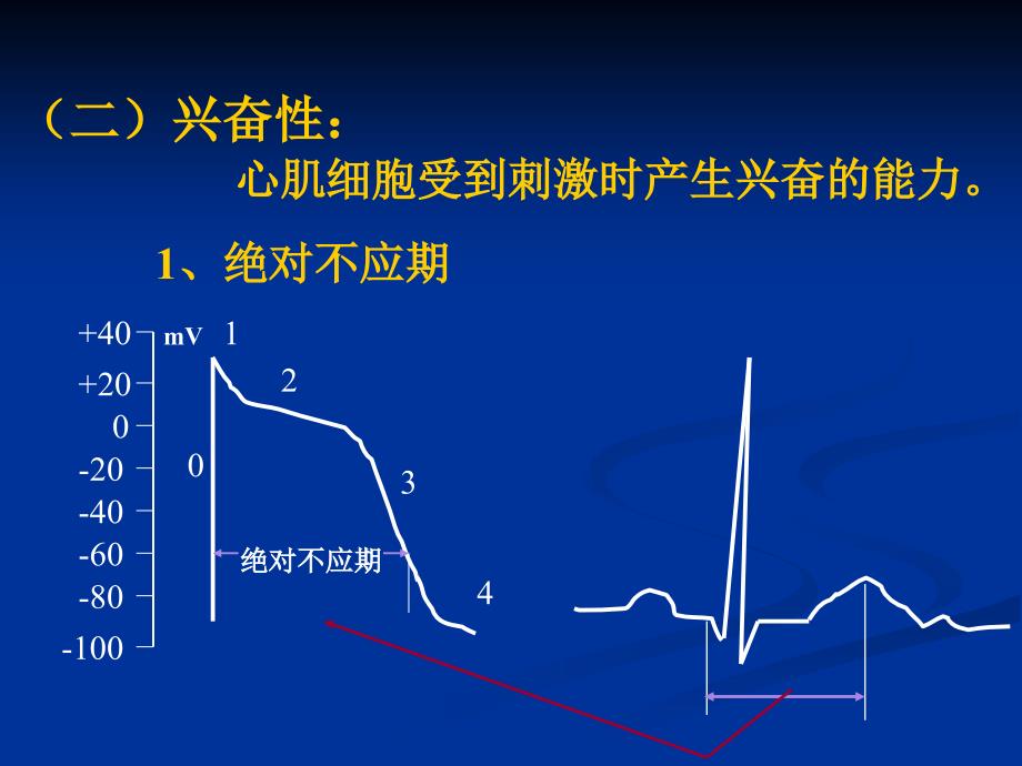 心电图心率失常1 课件_第4页