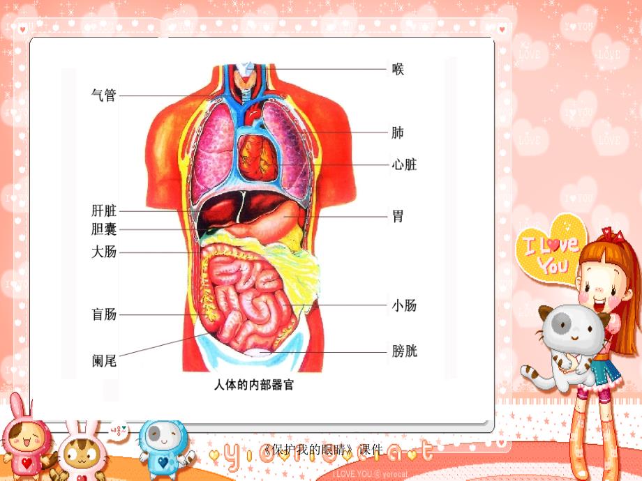 最新保护我的眼睛课件_第4页