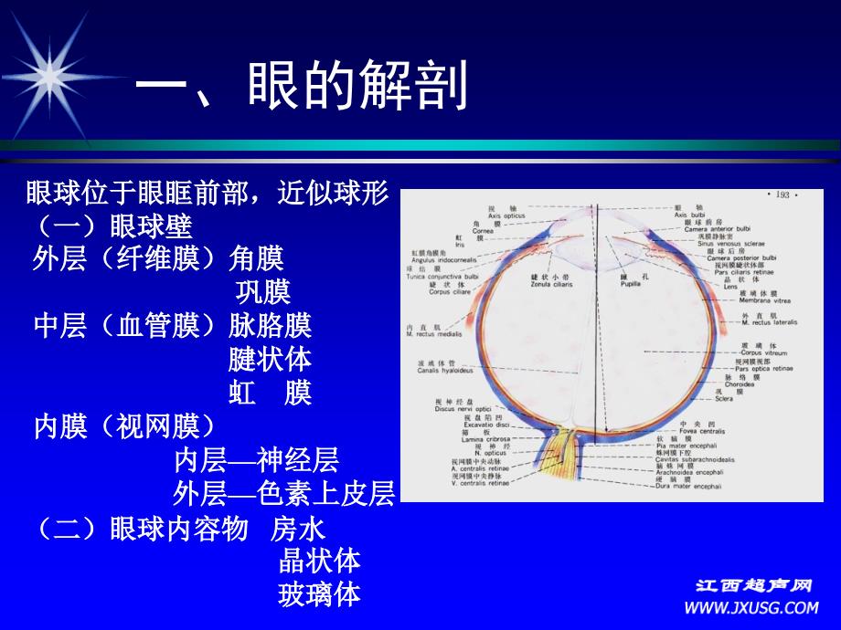 眼球及眼疾病的超声诊断朱皖ppt课件_第3页