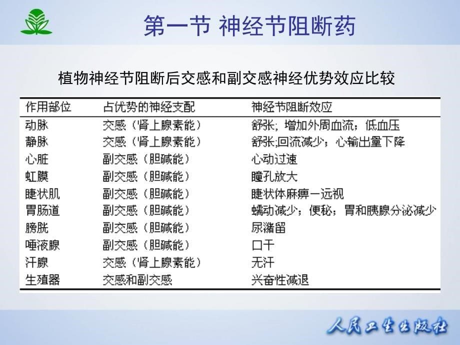 第09章胆碱受体阻断药ⅡN胆碱受体阻_第5页