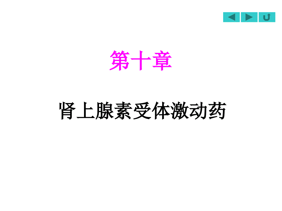 肾上腺素受体激动药_第1页