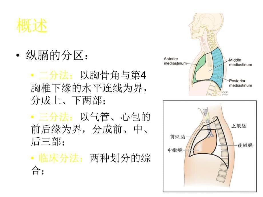 原发性纵膈肿瘤课件_第5页