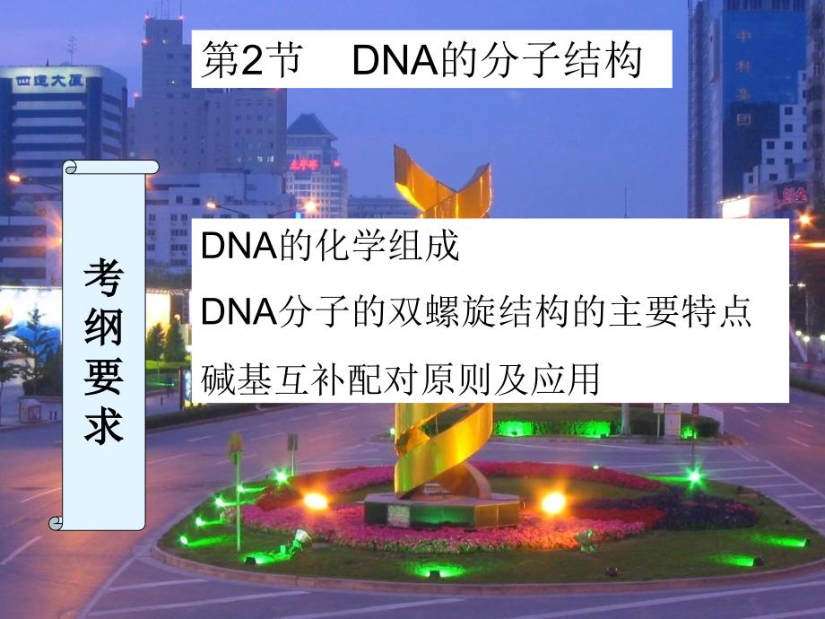 复习DNA的结构_第1页