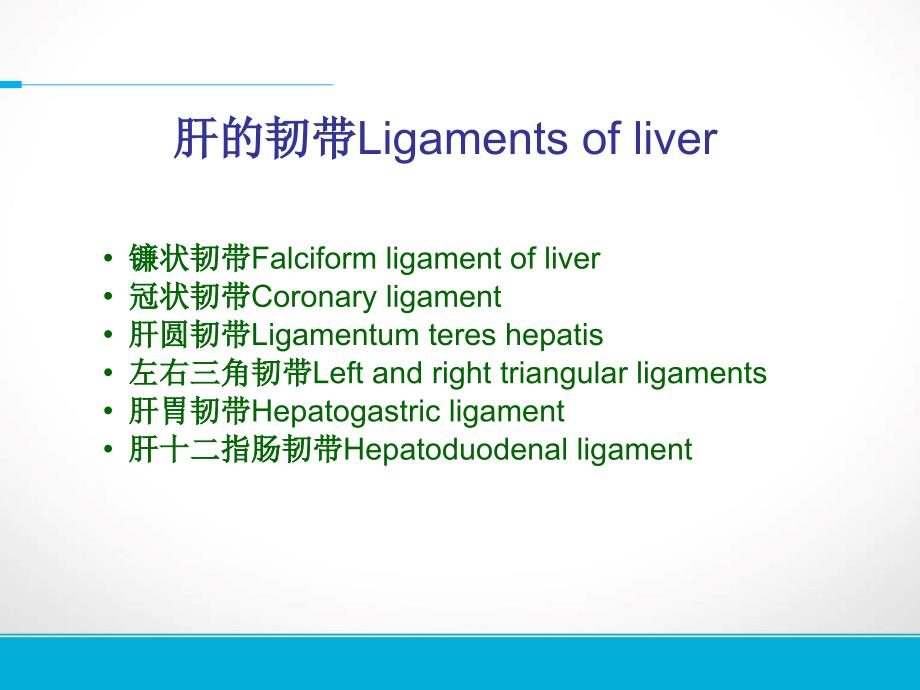 肝脏镰状韧带旁假病灶的CT表现课件.ppt_第3页