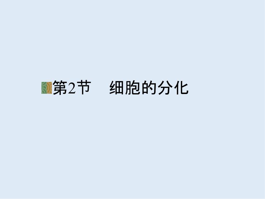 辽宁省沈阳市二十一中高中生物人教版必修一课件： 6.2细胞的分化_第1页