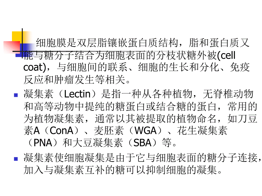 细胞实验课件细胞凝集反应_第2页