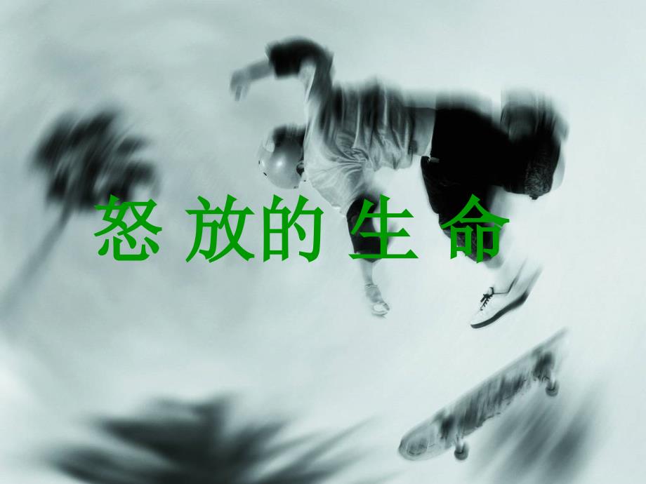 初中音乐 《怒放的生命》课件PPT课件_第2页