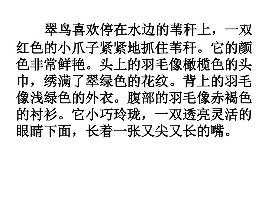 喜欢的小动物片段描写.ppt_第1页