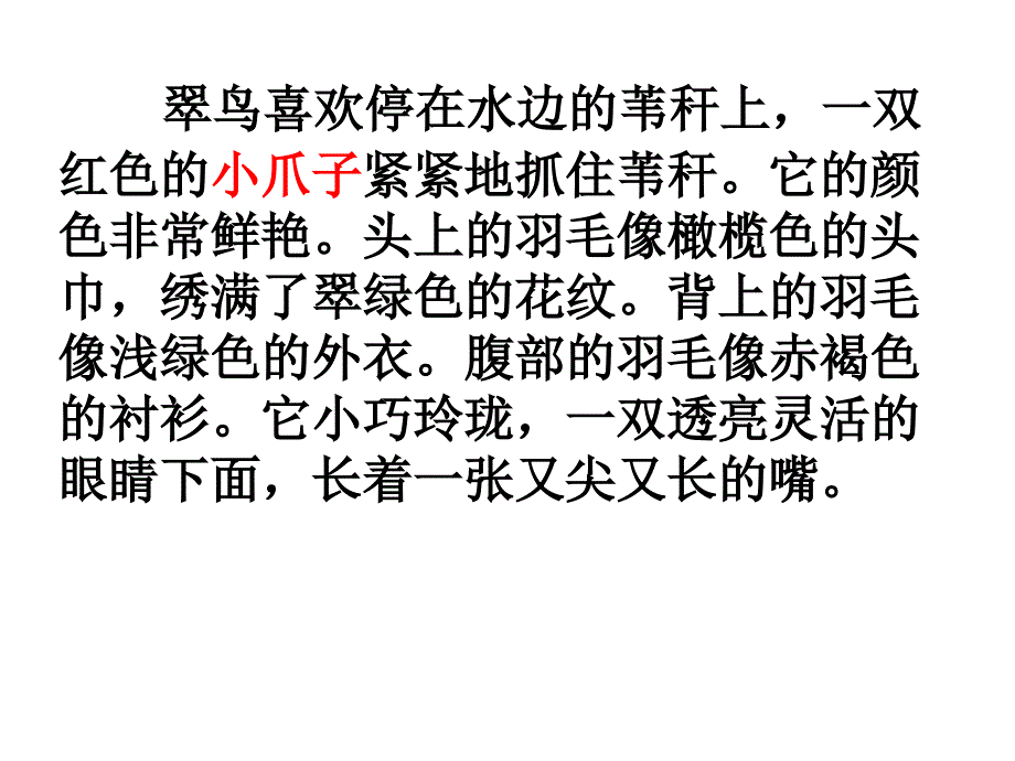 喜欢的小动物片段描写.ppt_第2页