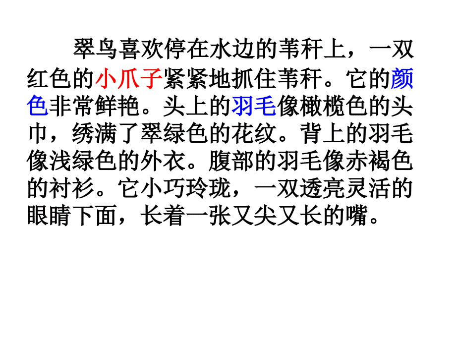 喜欢的小动物片段描写.ppt_第4页