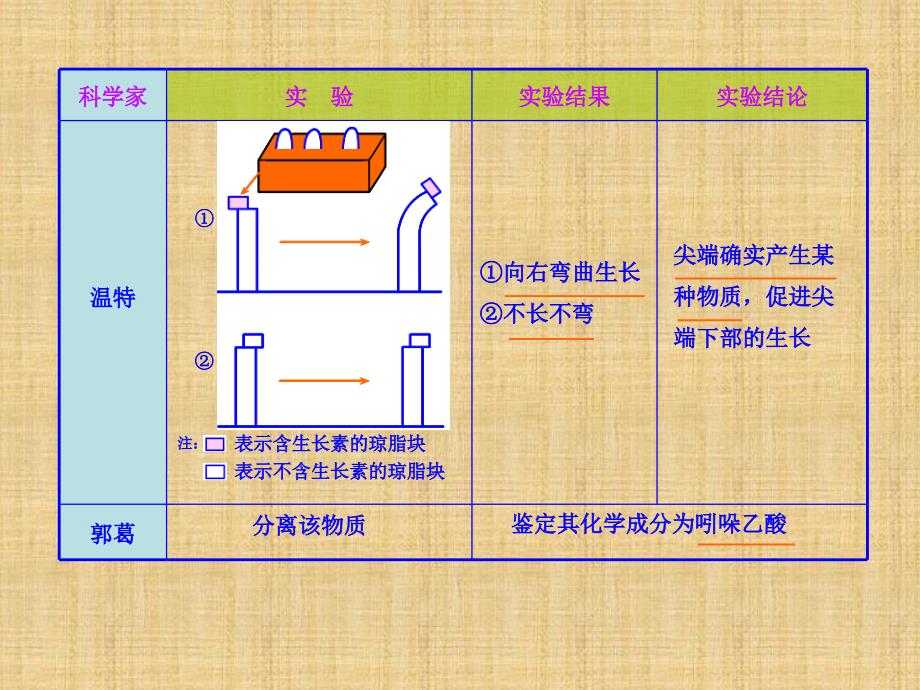 高三生物一轮复习植物生命活动的调节苏教版必修课件_第4页