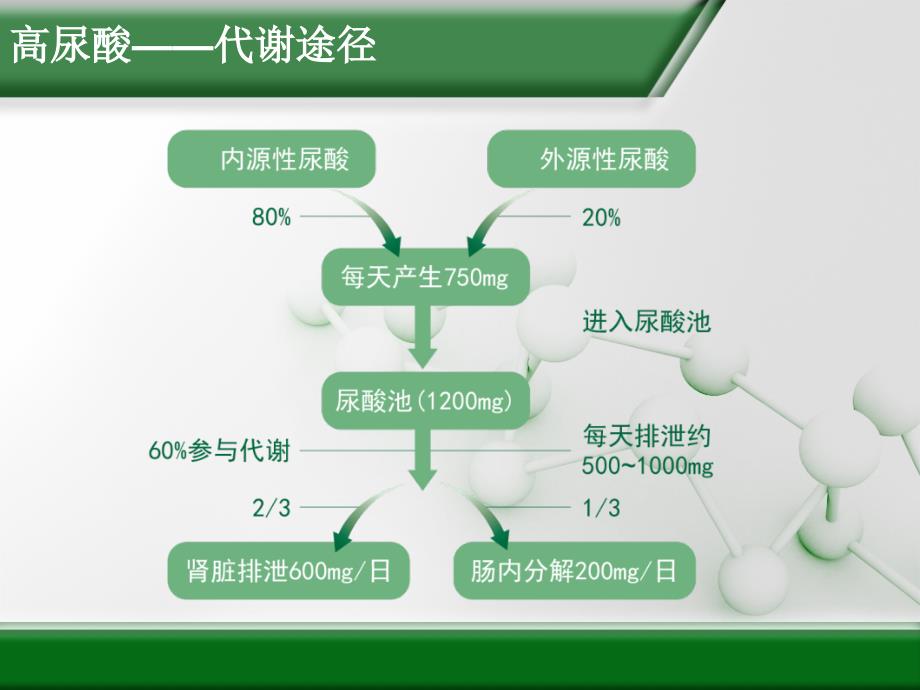 公司内部高尿酸专业知识培训_第4页