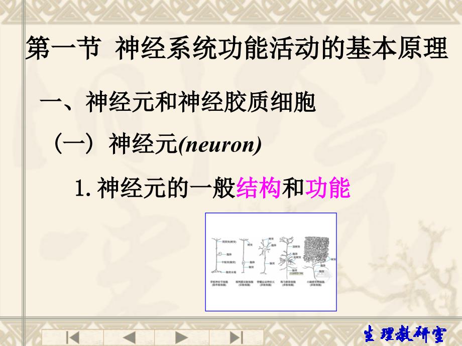 生理学课件：第九章01_第3页