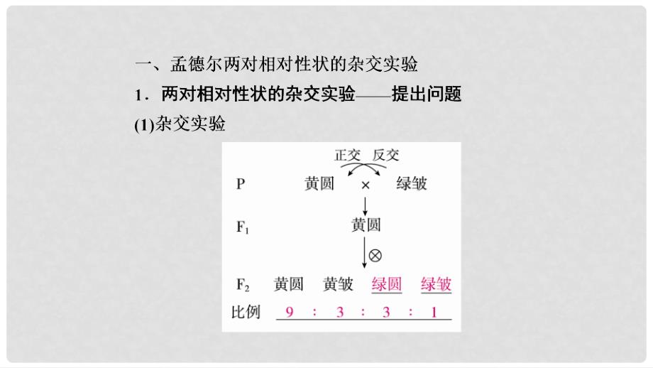 高考生物一轮复习 第16讲 基因的自由组合定律课件_第4页