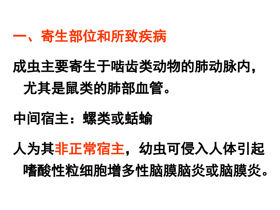 鞭虫广州管圆旋毛虫ppt课件_第4页