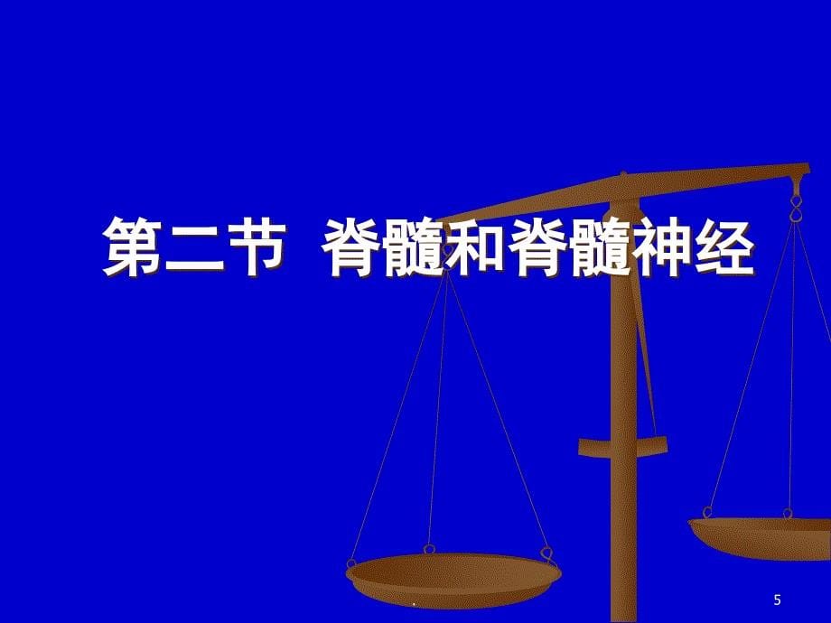 核酸的结构与功能PPT演示课件_第5页