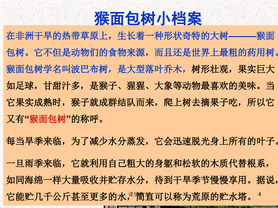 苏科版生物七下第11章地面上的生物第1节地面上的植物谷风教育_第4页