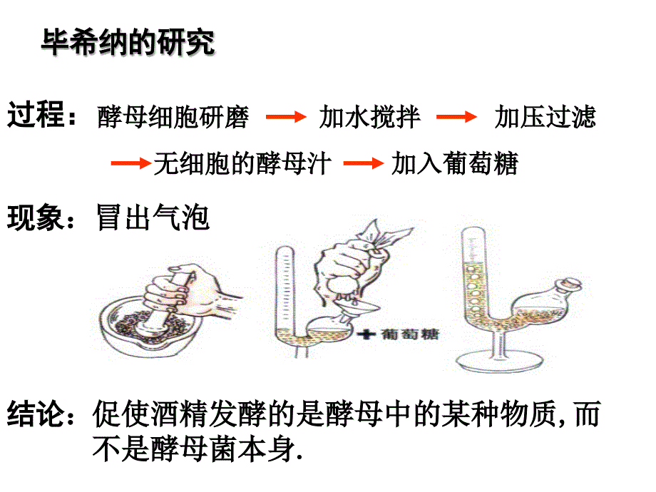 人教版教学课件浙江省温州市龙湾中学高中生物必修一细胞代谢酶课件_第4页