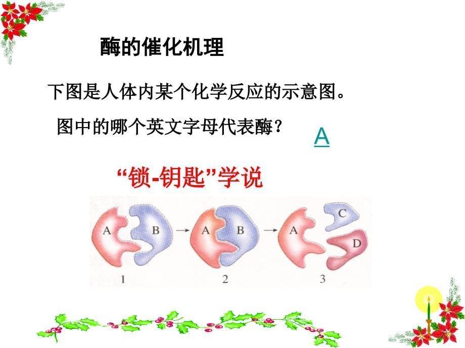 人教版教学课件浙江省温州市龙湾中学高中生物必修一细胞代谢酶课件_第5页