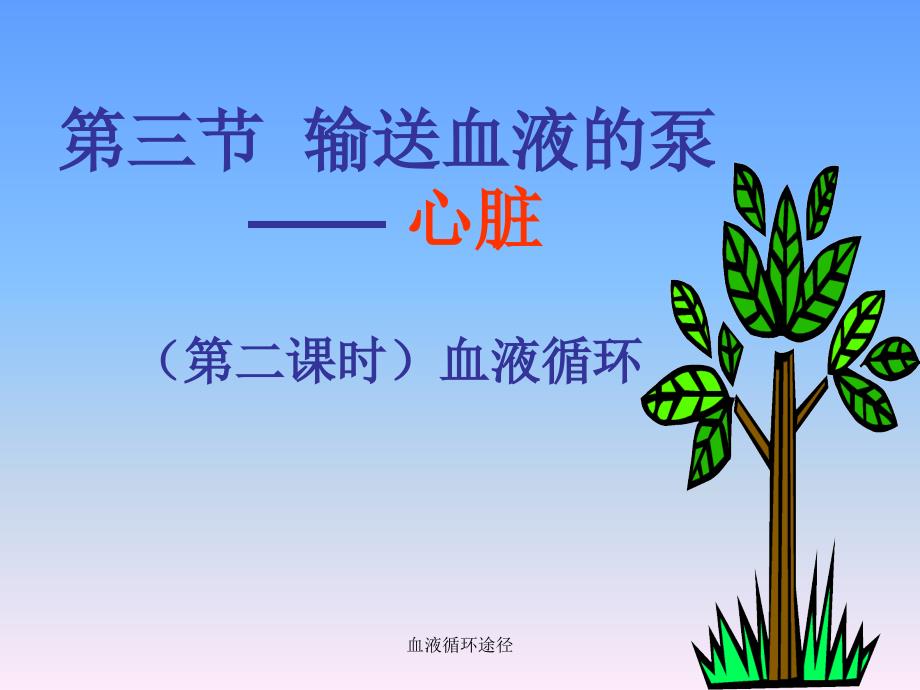 血液循环途径课件_第1页