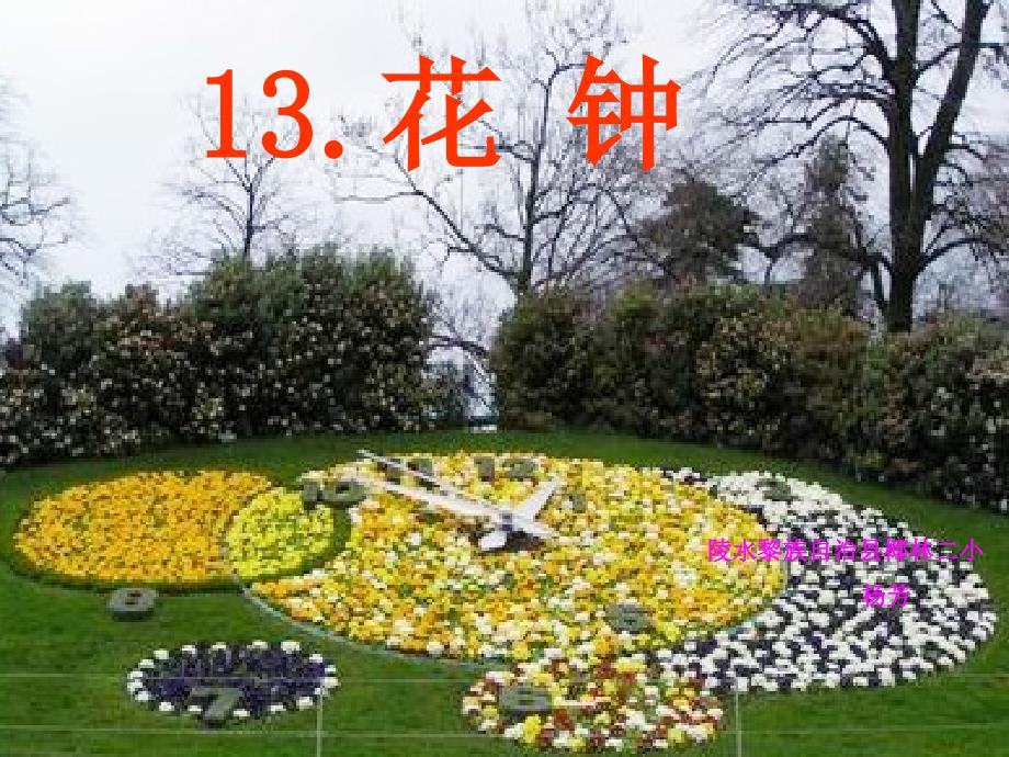 13花钟已改好的_第1页