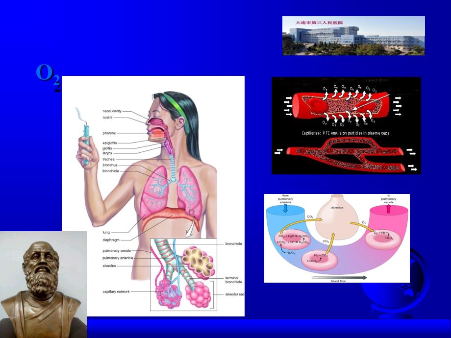 氧输送与监测课件_第4页