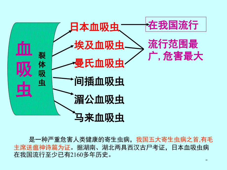 血吸虫 ppt课件_第2页