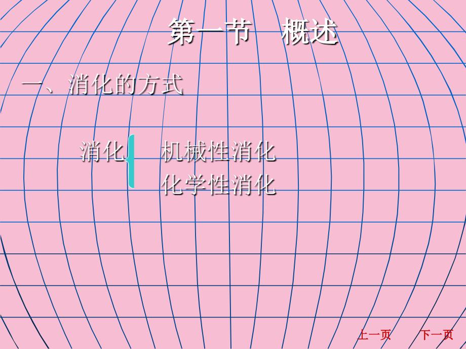 生理学消化吸收ppt课件_第2页